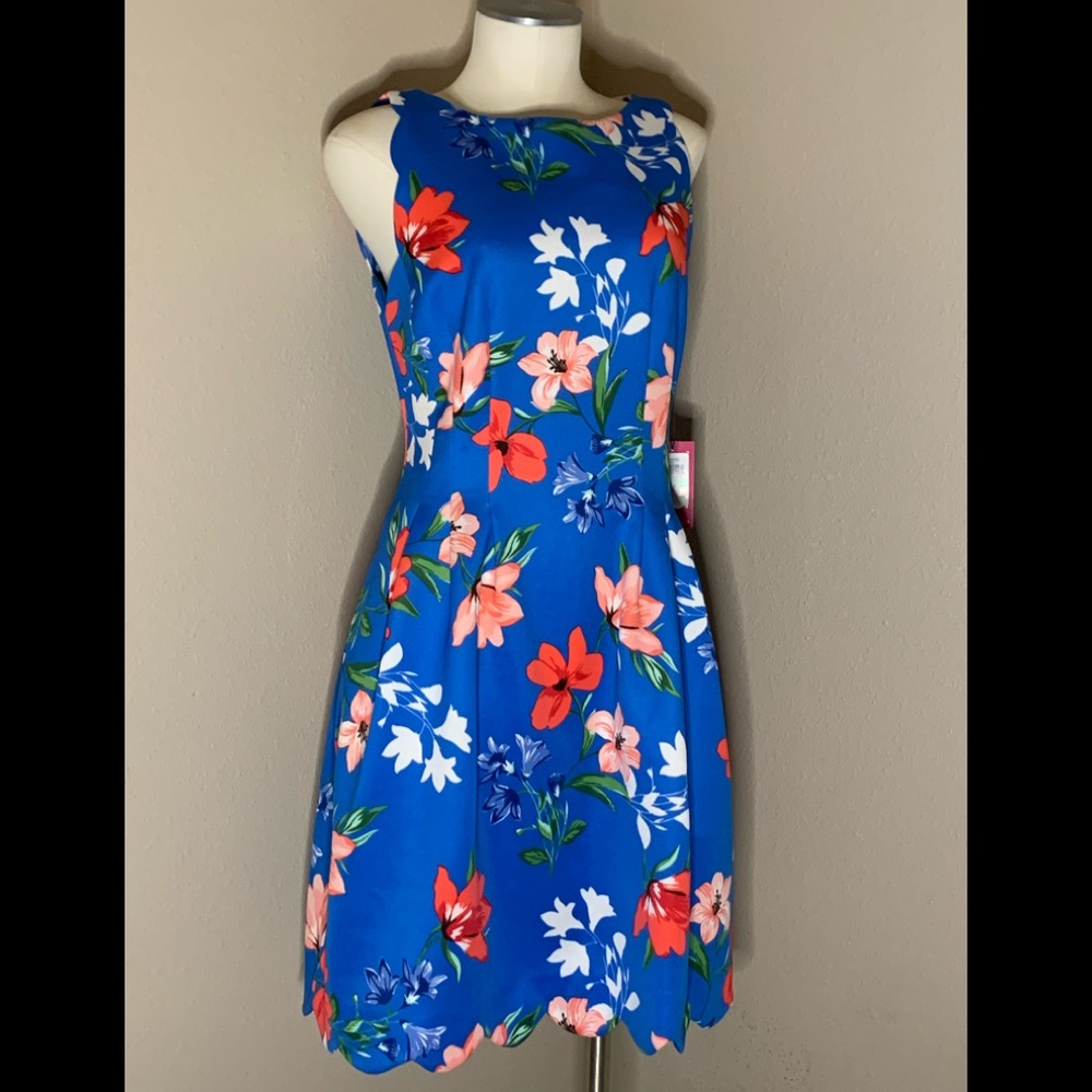NWT Vince Camuto Floral Blue Dress size 8